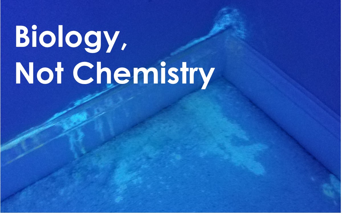 Pet Urine Odor Removal: Chemistry or Biology?