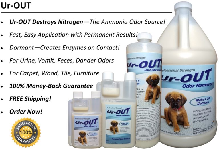 Pet Urine Odor Removal Chemistry or Biology? UrOUT Urine Carpet Smell Remover
