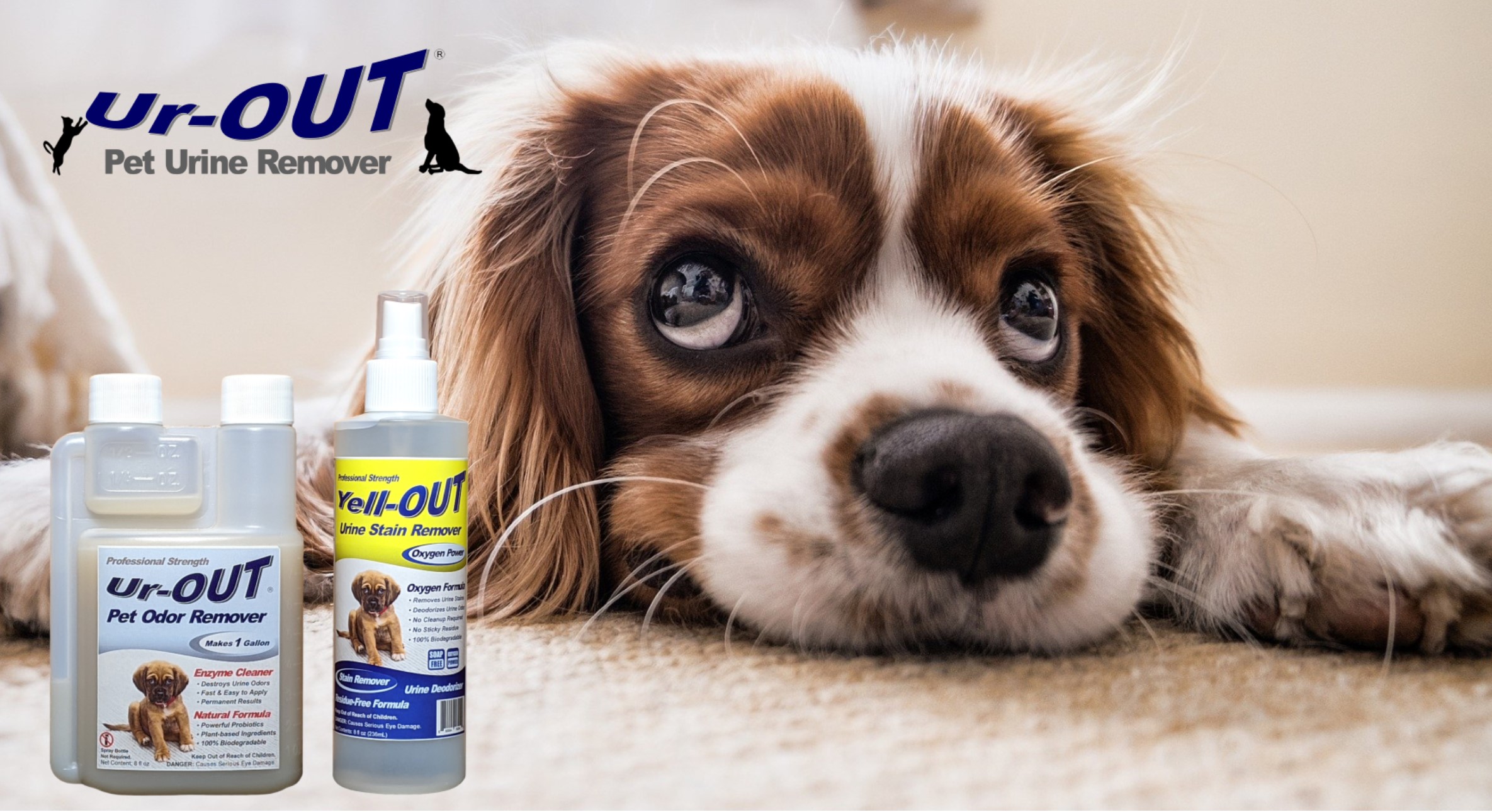 Out best sale pet spray