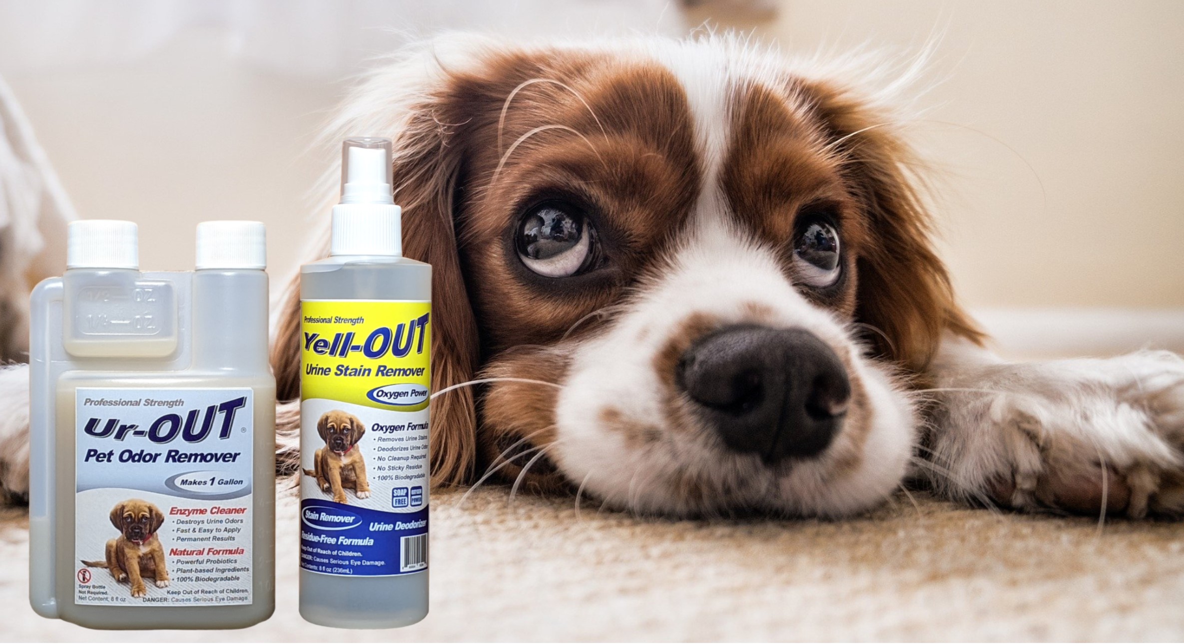 Homepage UrOUT Pet Urine Remover